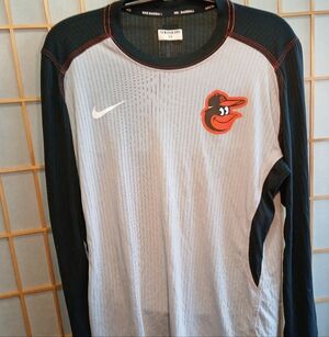 Men's Baltimore Orioles Nike Gray/Black Authentic Collection Game Long Sleeve Me